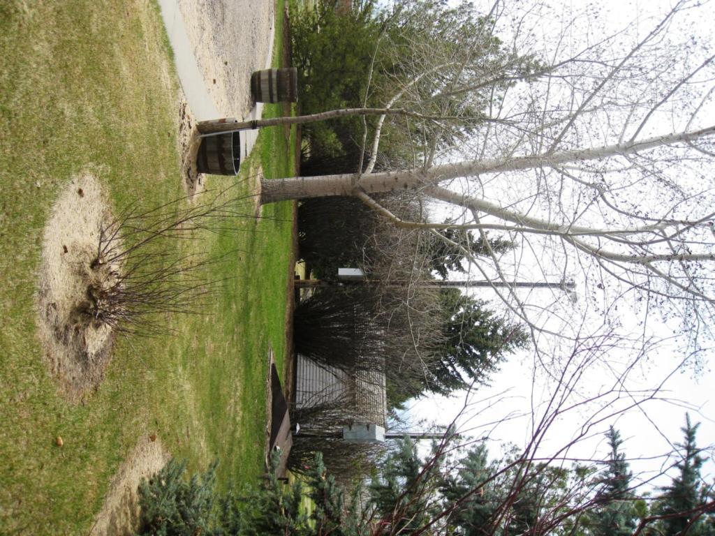 Sproule Heritage Bed & Breakfast Strathmore Dış mekan fotoğraf
